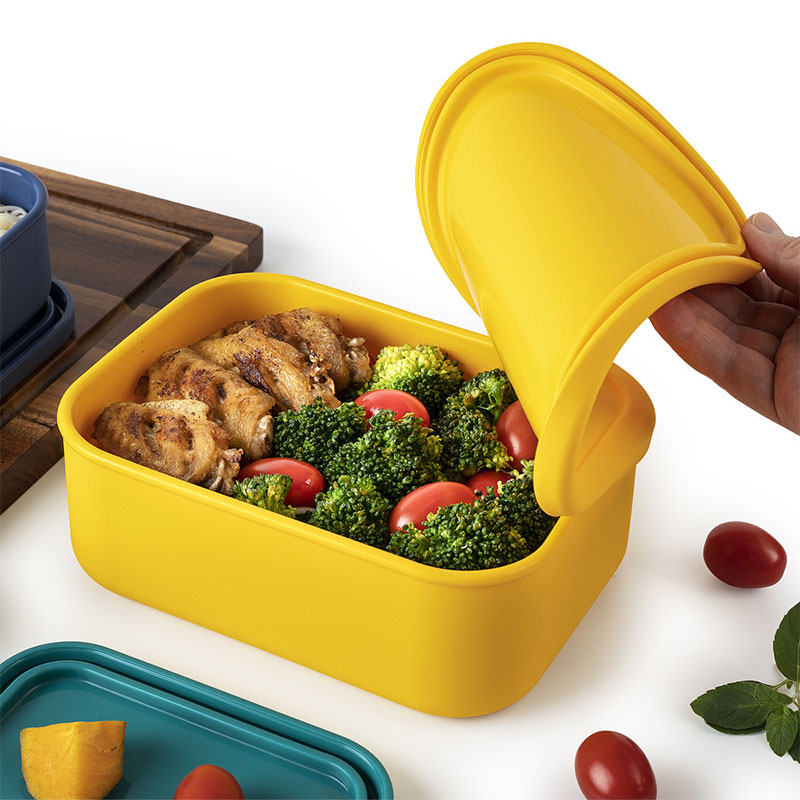 Food-grade Silicone Lunch Box  - đánh giá và giá Food And Snacks For Picnic